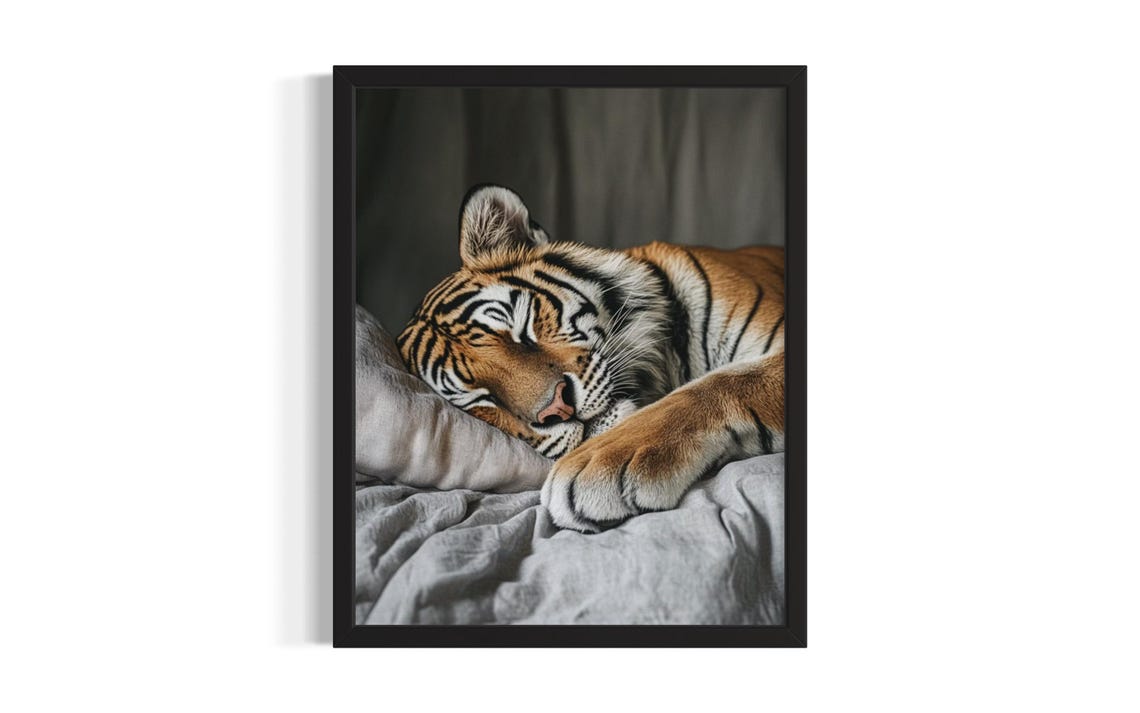Sleeping Tiger Resting on Gray Bedding Powerful Calm Vintage Poster