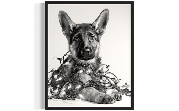 Young German Shepherd Puppy Tangled In Christmas Lights Poster