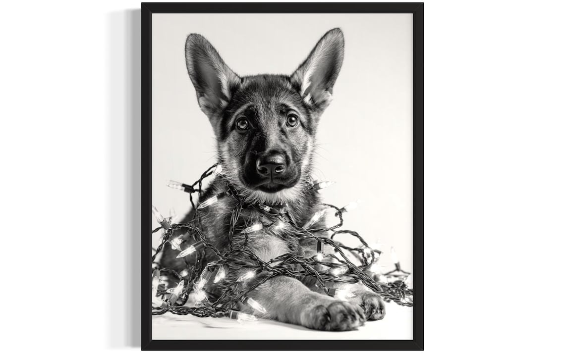 Young German Shepherd Puppy Tangled In Christmas Lights Poster