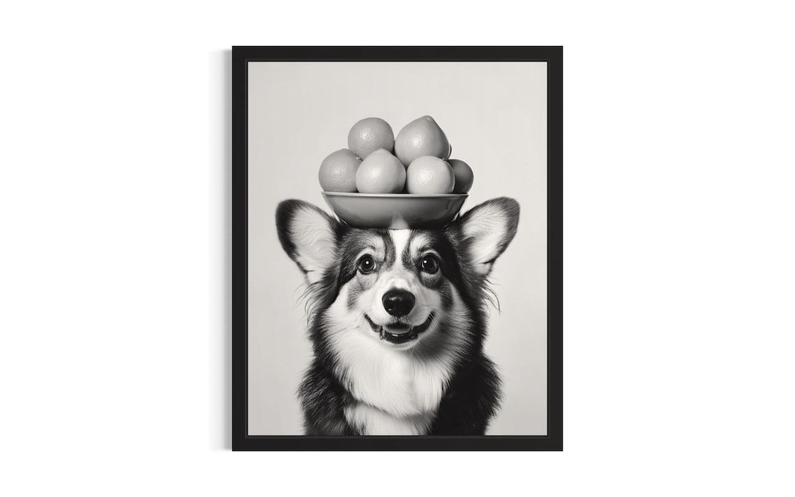 Pembroke Welsh Corgi Balancing Fruit Bowl on Head Smiling Dog Poster