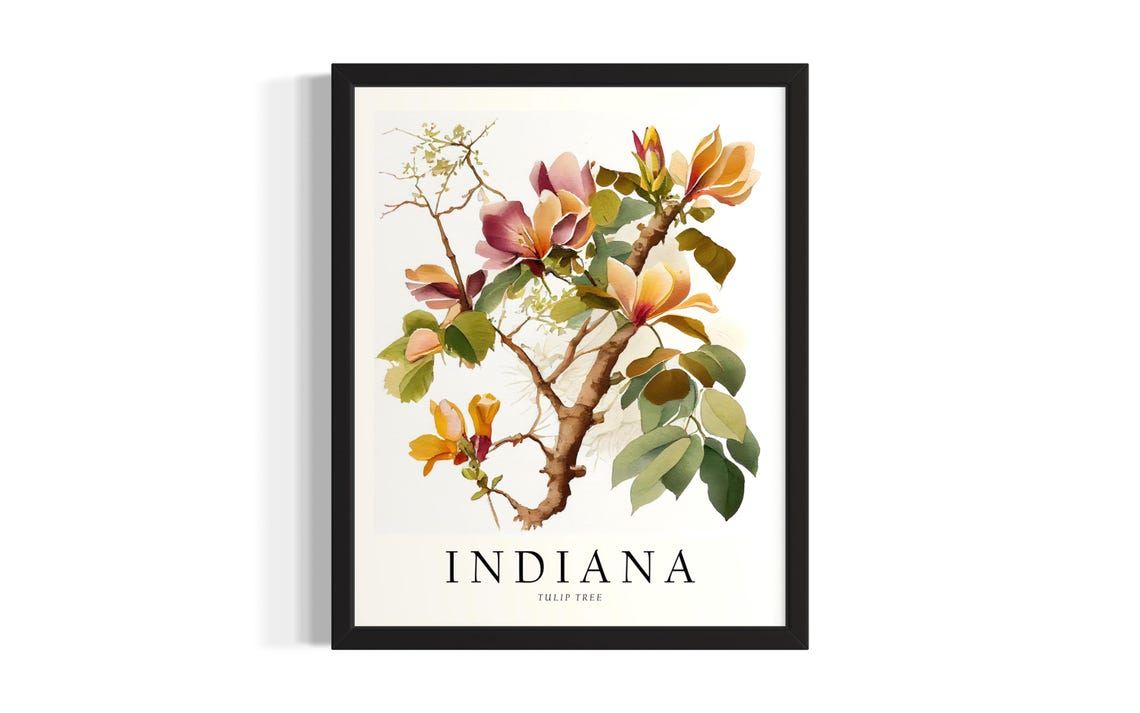 Indiana Tulip Tree Flowering Branch Botanical Illustration Poster