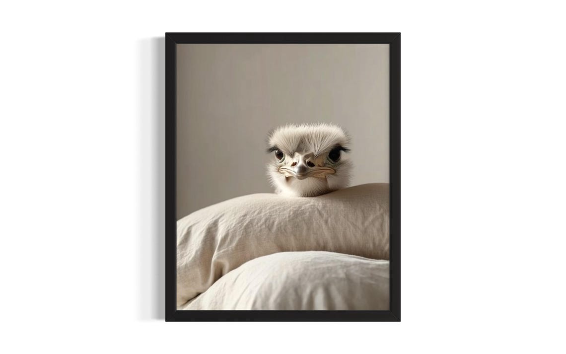 Ostrich Peeking Over a Pillow With Big Curious Eyes Wildlife Poster