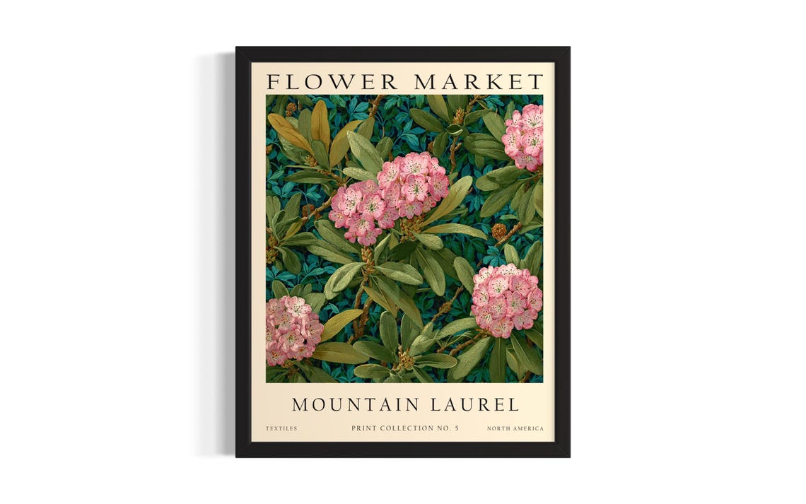 Mountain Laurel Flower Market Pink Bloom Classic Vintage Poster
