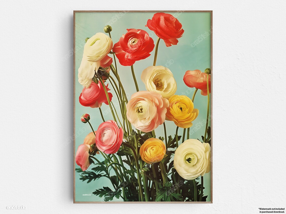 Ranunculus Array Mid-Century Modern Art Print
