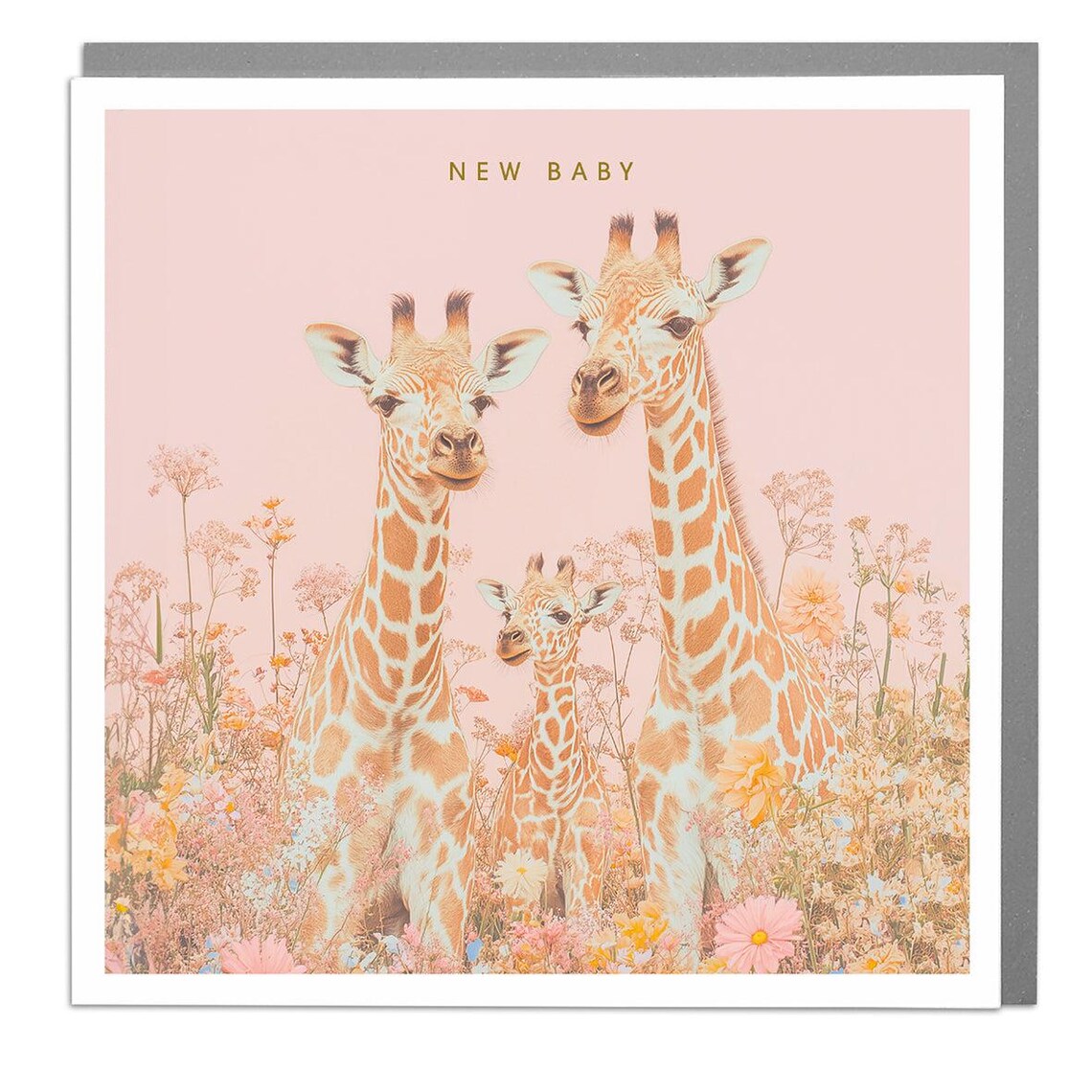 Giraffe New Baby Card By Lola Design