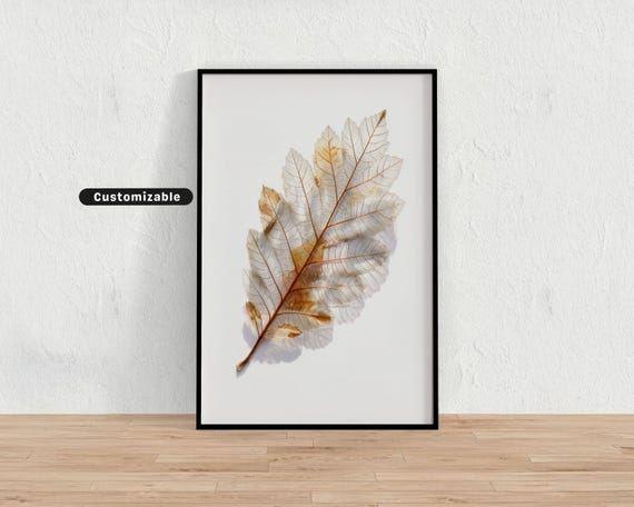 Abstract Pressed Leaf With Transparent Shadows On White Minimal Botanical Wall Art Neutral Nature Print