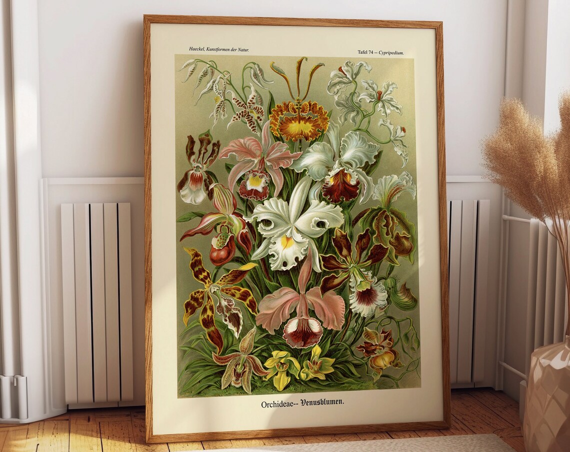 Orchid Print, Botanical Illustration Art Print