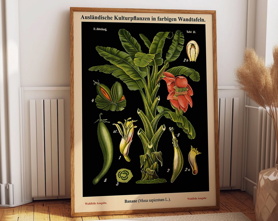 Botanical Art Poster Print