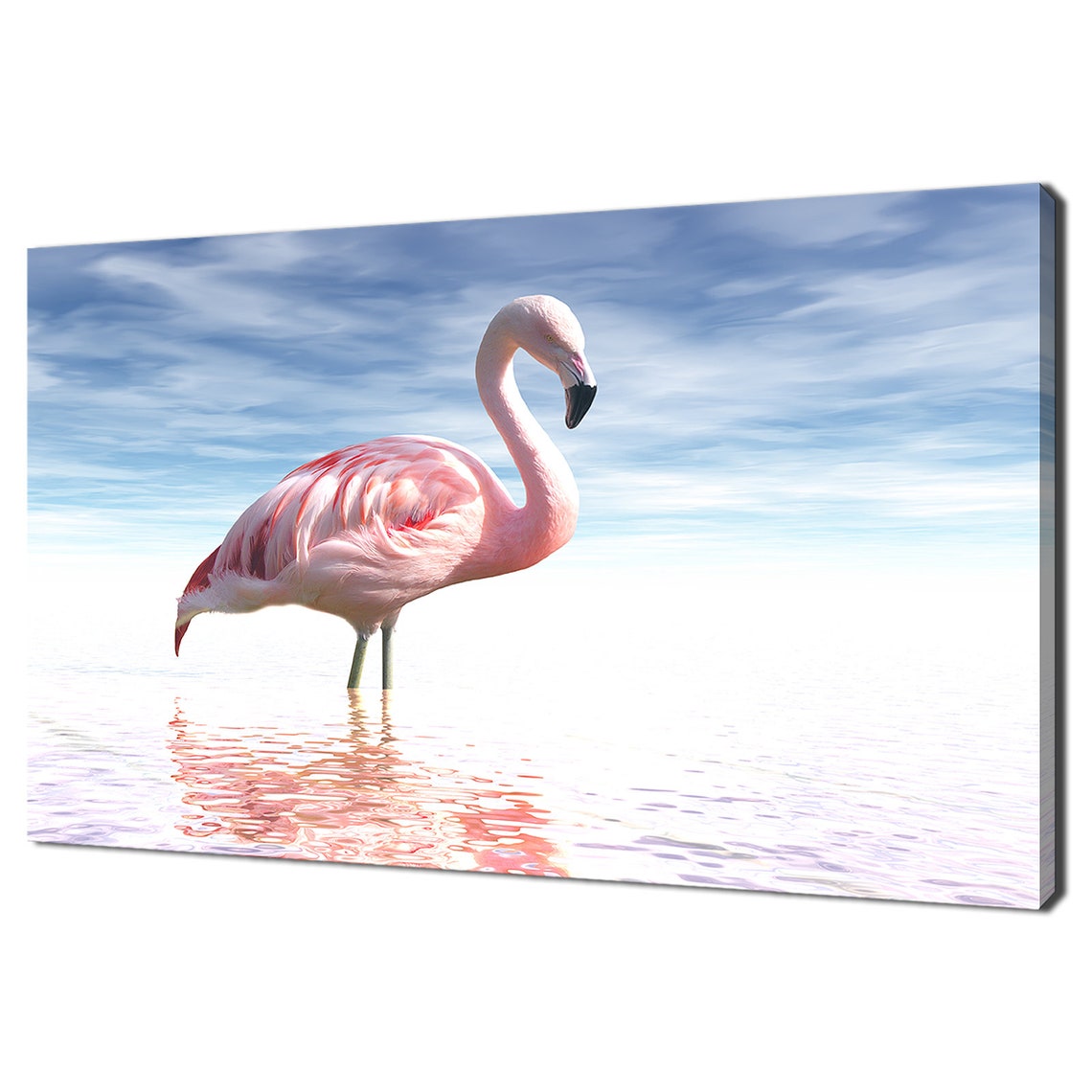 Elegant Pink Flamingo Standing In Calm Shallow Water Wildlife Poster