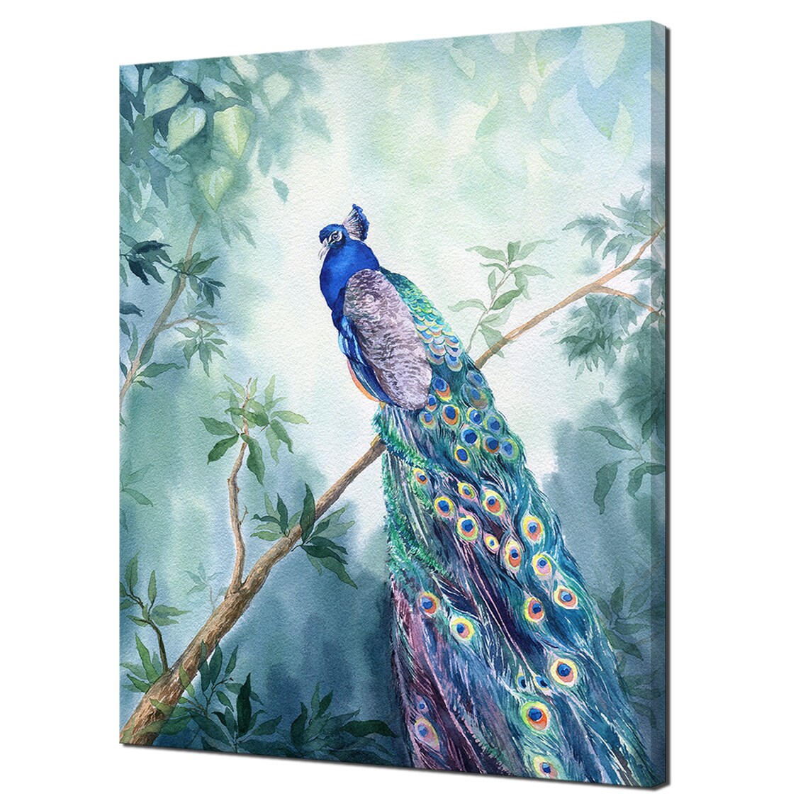 Peacock On Branch Watercolour Paradise Garden Bird Portrait Art Poster