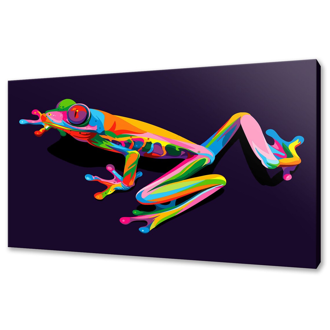 Rainbow Tree Frog Side View Pop Art Colourful Amphibian Dark Background Poster
