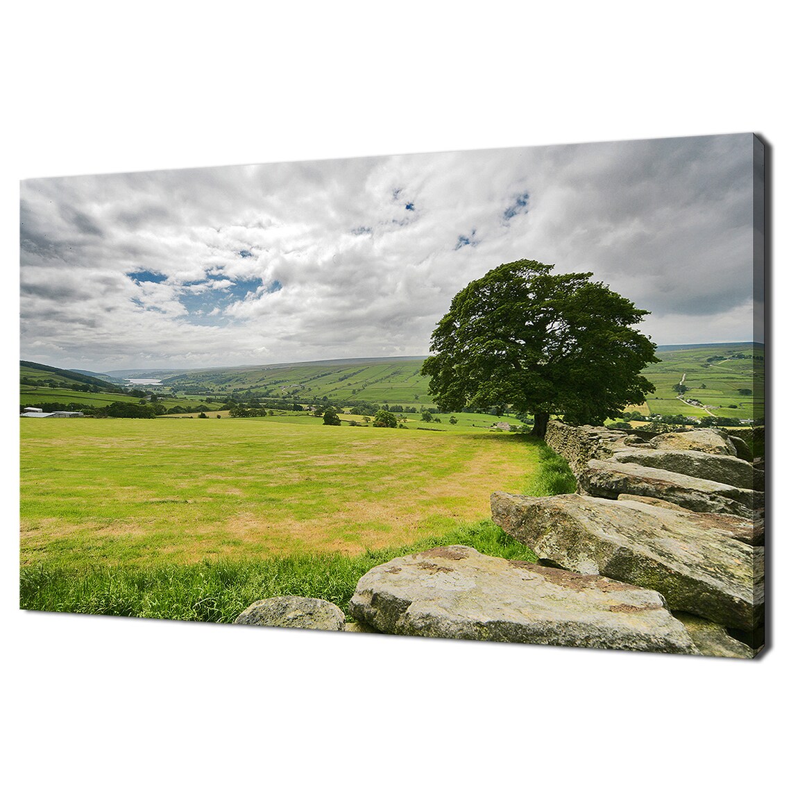 Beautiful Yorkshire Dales England On A Cloudy Day Tree Landscape Modern Design Home Decor Print Wall Art Wall Hanging
