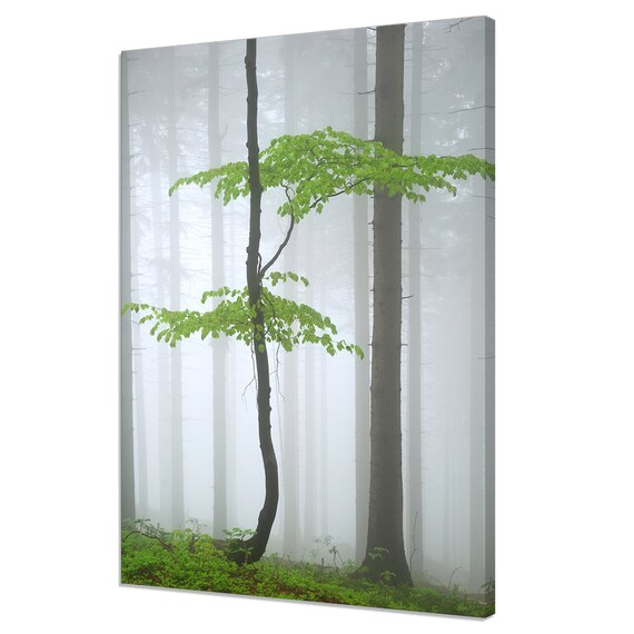 Young Green Tree In The Foggy Forest Modern Design Home Decor Print Wall Art Picture