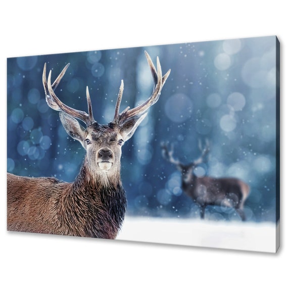 Red Deer Stag in Snowy Forest, Modern Wall Art Print