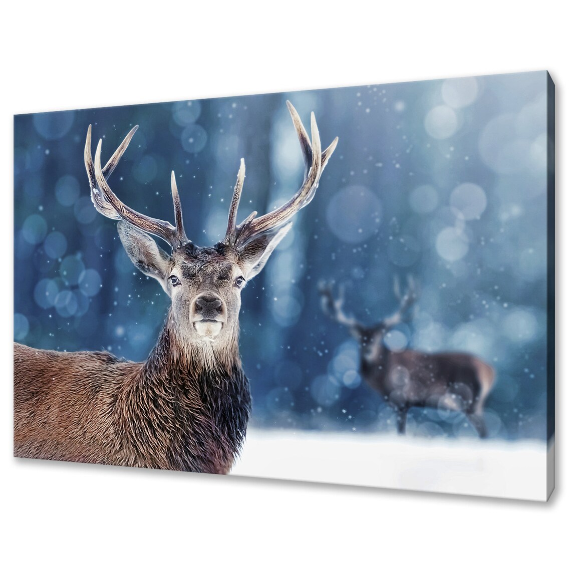 Red Deer Stag in Snowy Forest, Modern Wall Art Print