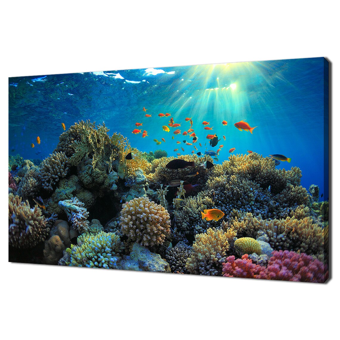 Tropical Underwater Scene, Modern Wall Art Print