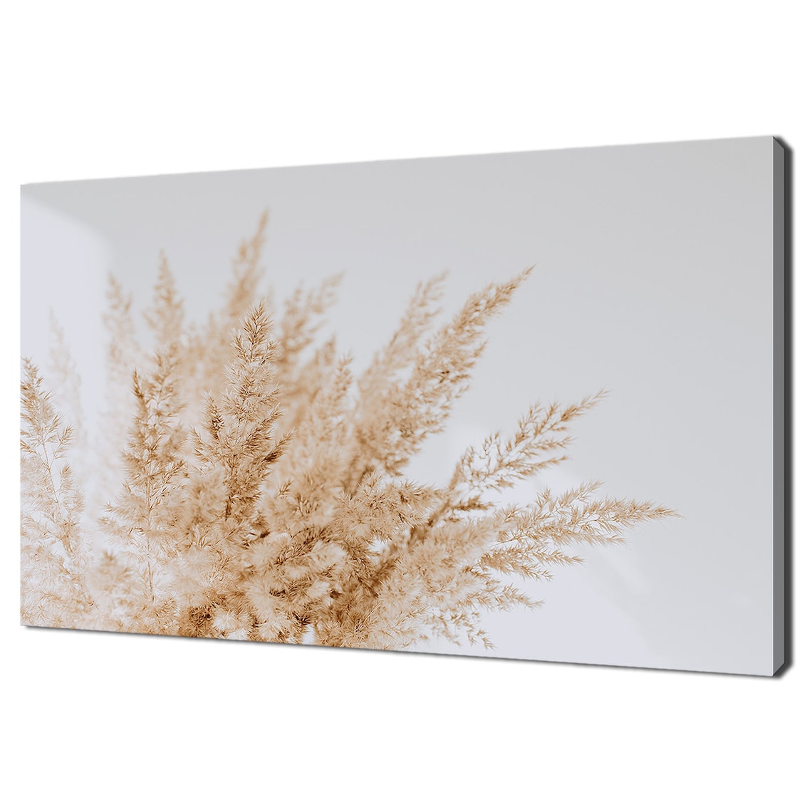 Reeds Wild Dry Grass, Modern Design Print