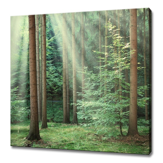 Green Forest Trees Sunrays Modern Design Home Decor Print Wall Art Picture