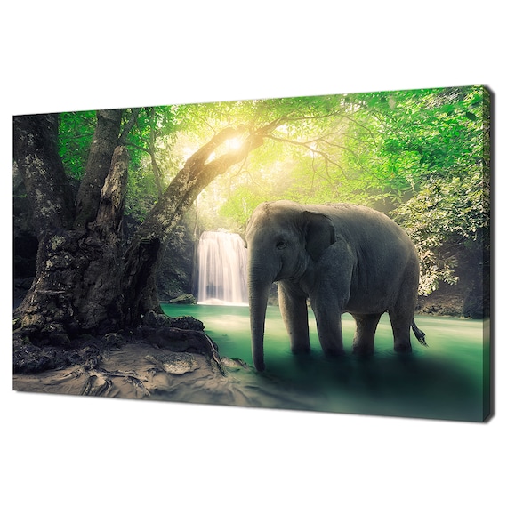 Elephant At Waterfall Rainforest Sunbeams Jungle Nature Wildlife Poster