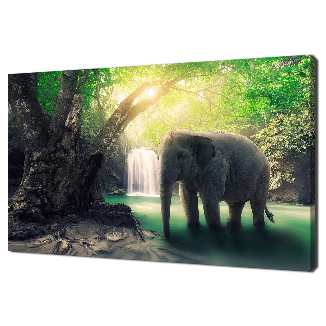 Elephant At Waterfall Rainforest Sunbeams Jungle Nature Wildlife Poster