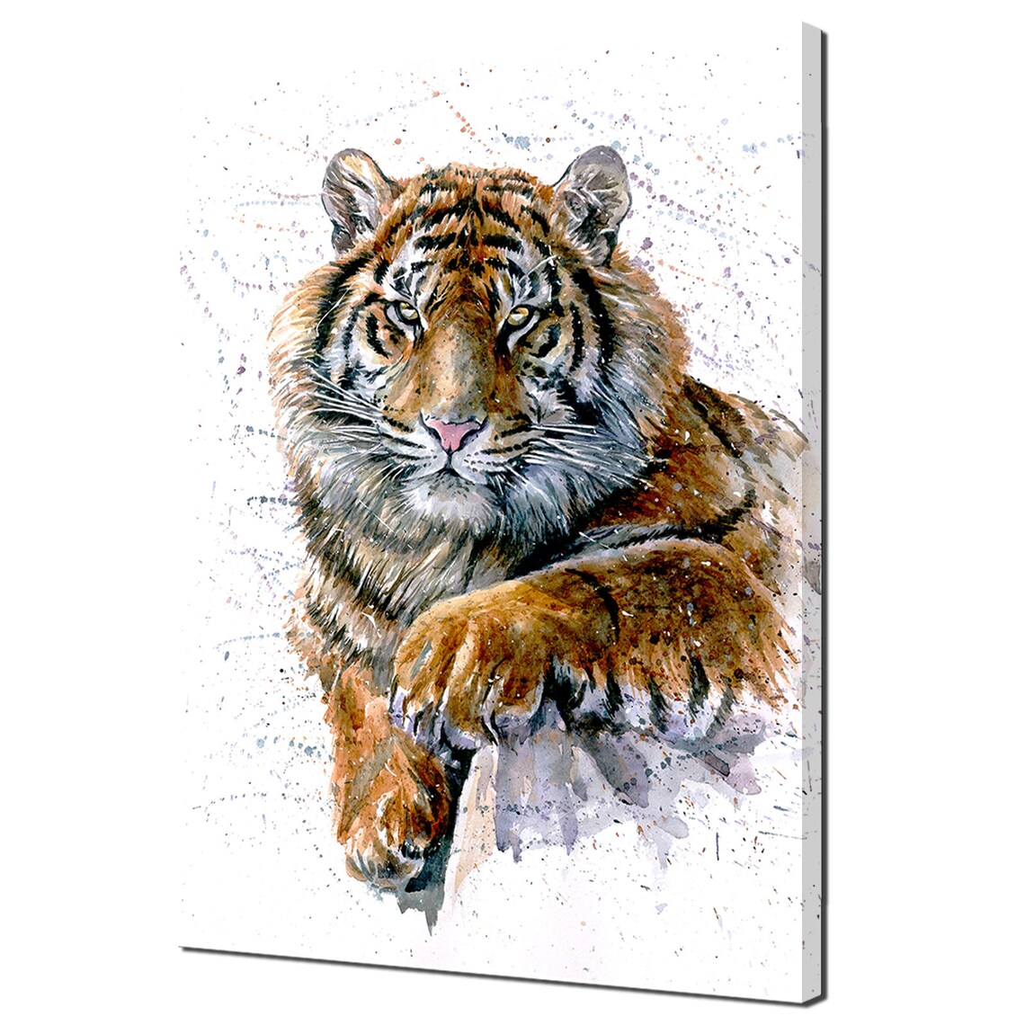 Watercolor Tiger Portrait With Paint Splatter Expressive Wild Cat Print