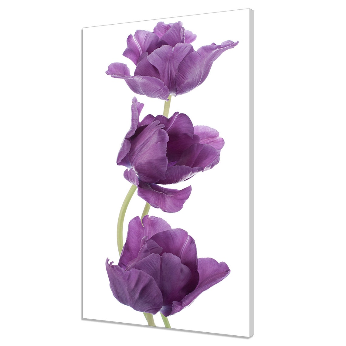 Purple Tulips Minimalist Botanical Trio Modern Floral Poster