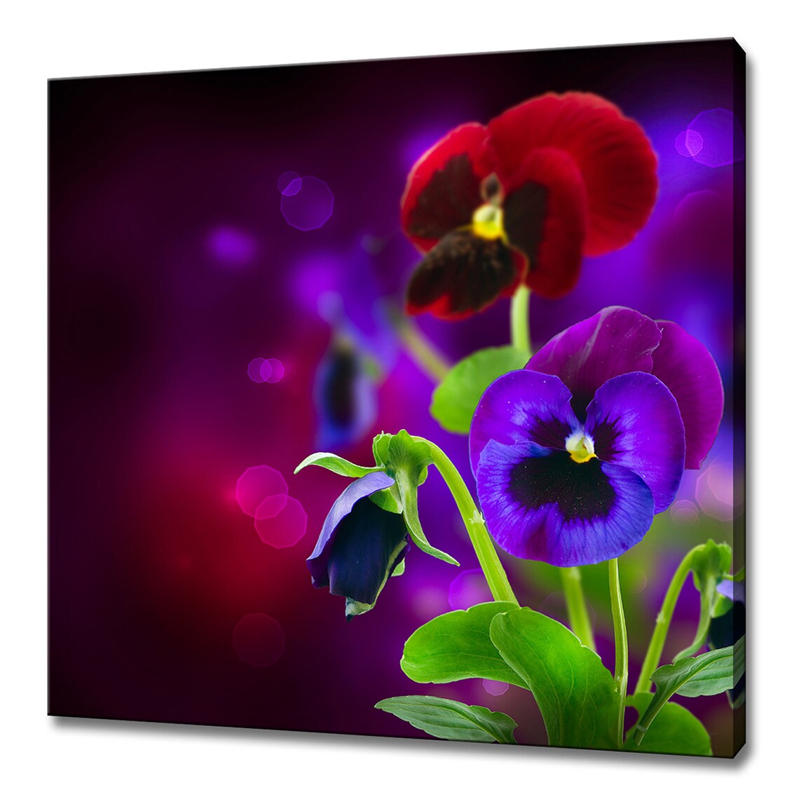 Spring Pansy Flowers, Modern Floral Art Print