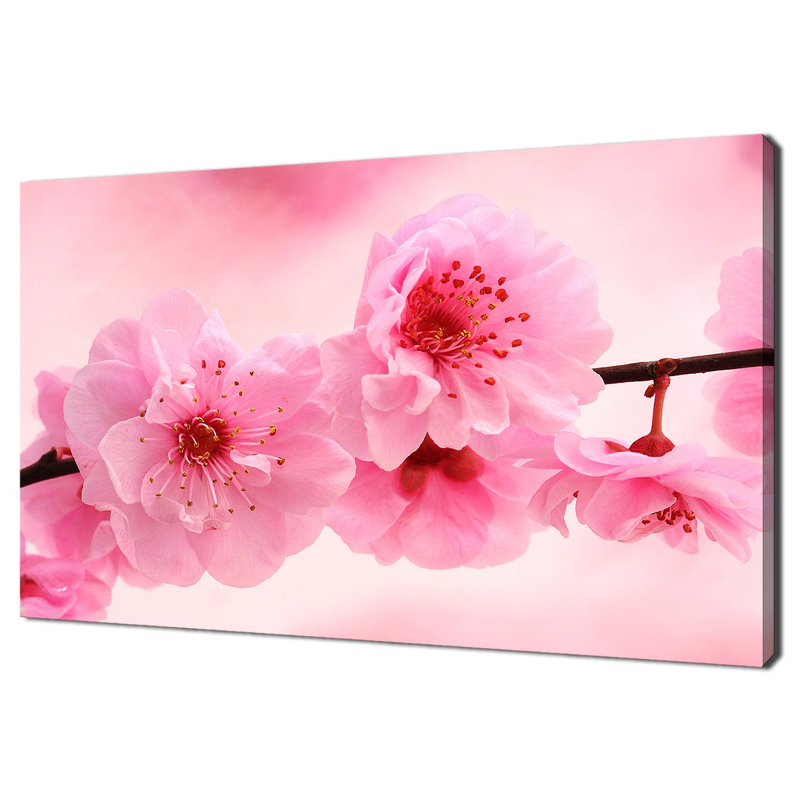 Pink Cherry Blossom Flowers Branch Spring Bloom Floral Wall Art Print