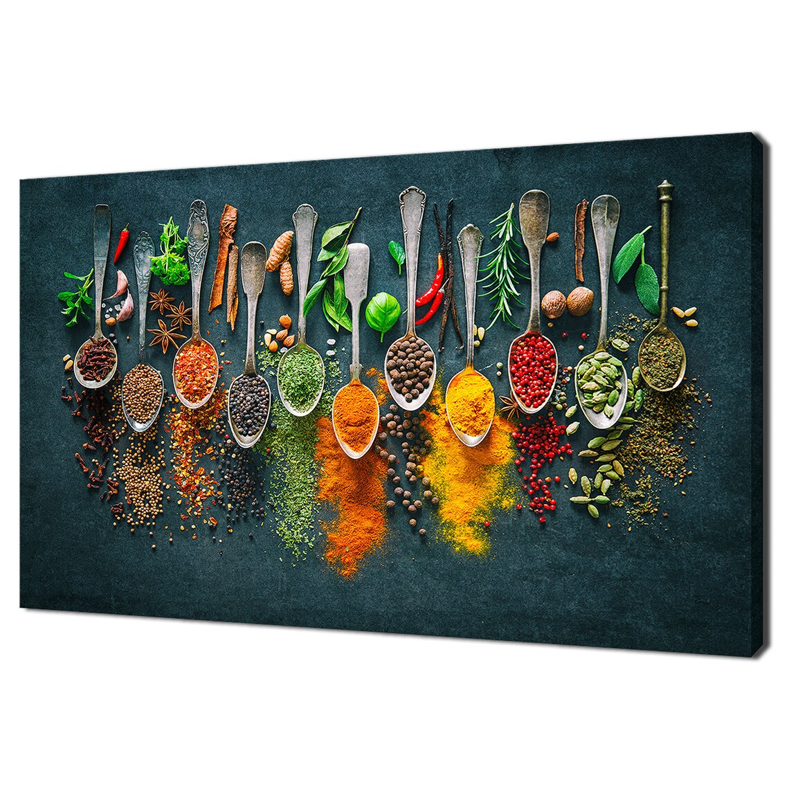 Colorful Herbs And Spices Modern Kitchen Art Print