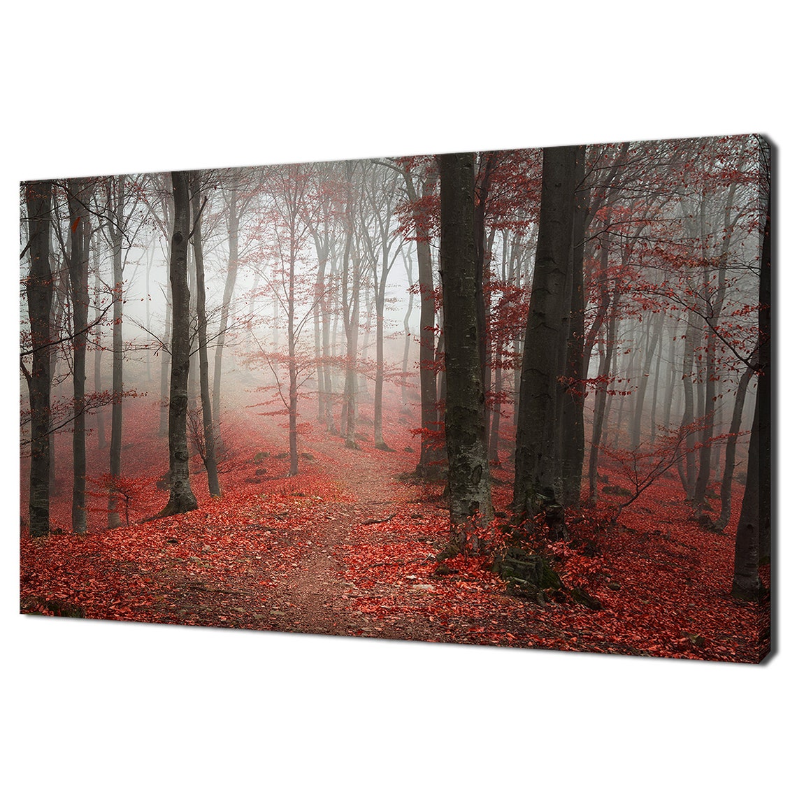 Red Autumn Misty Foggy Forest Path Red Leaf Carpet Nature Poster