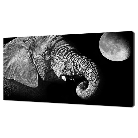 African Elephant At Moonlight Black White Wildlife Photography Poster
