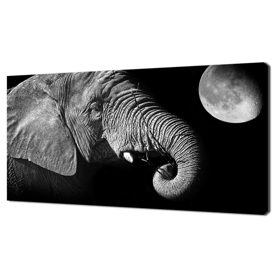 African Elephant At Moonlight Black White Wildlife Photography Poster
