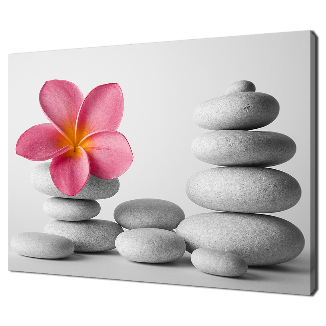 Beach Pebbles With Pink Frangipani Flower Art Print