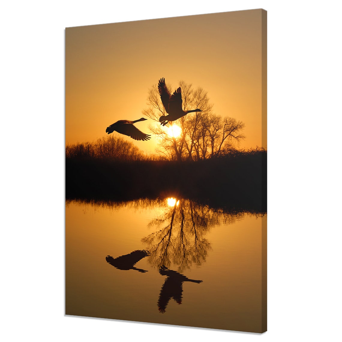 Geese Flying Over Golden Sunset Lake Mirror Reflection Bird Poster
