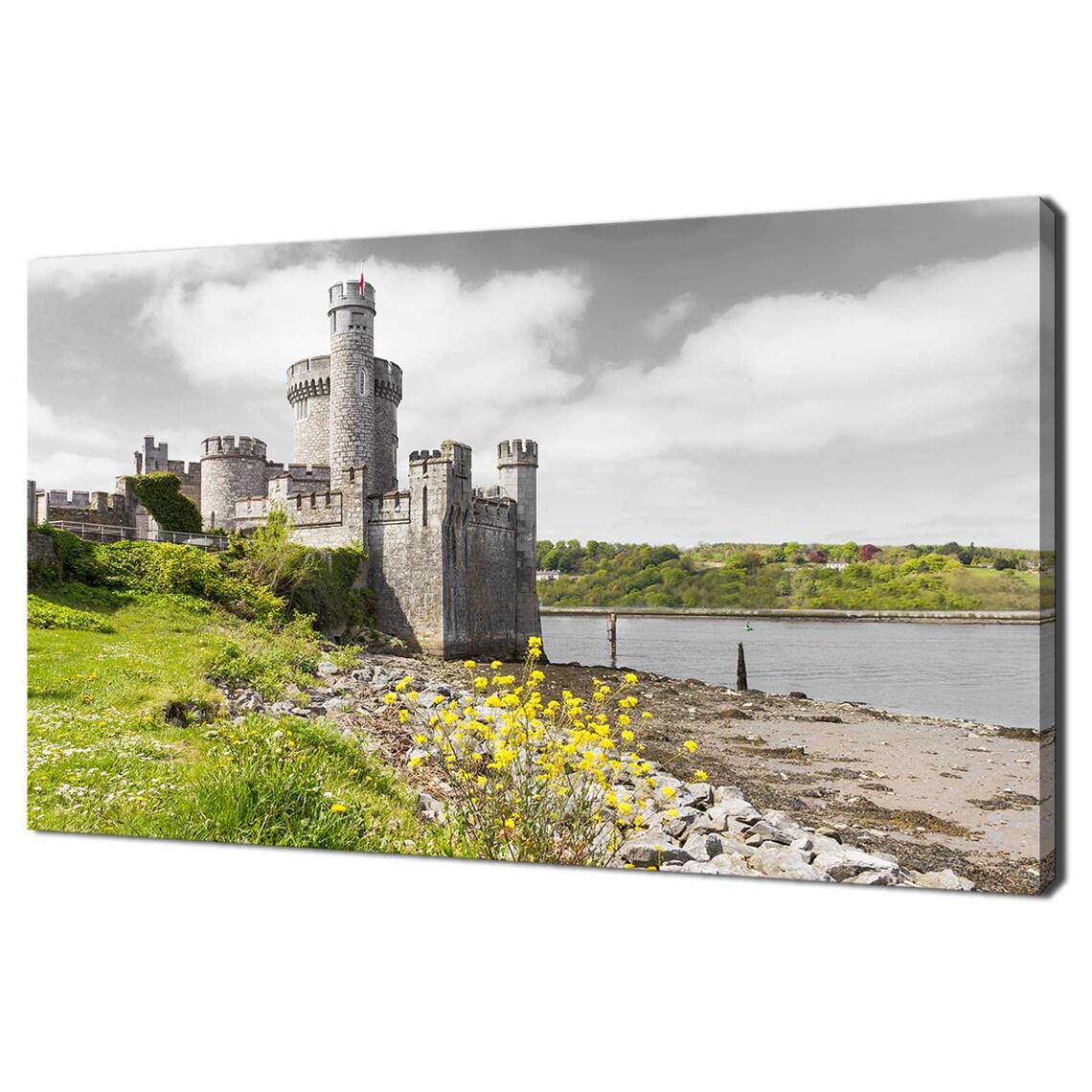 Blackrock Castle Cork Ireland Riverside Stone Castle Travel Poster