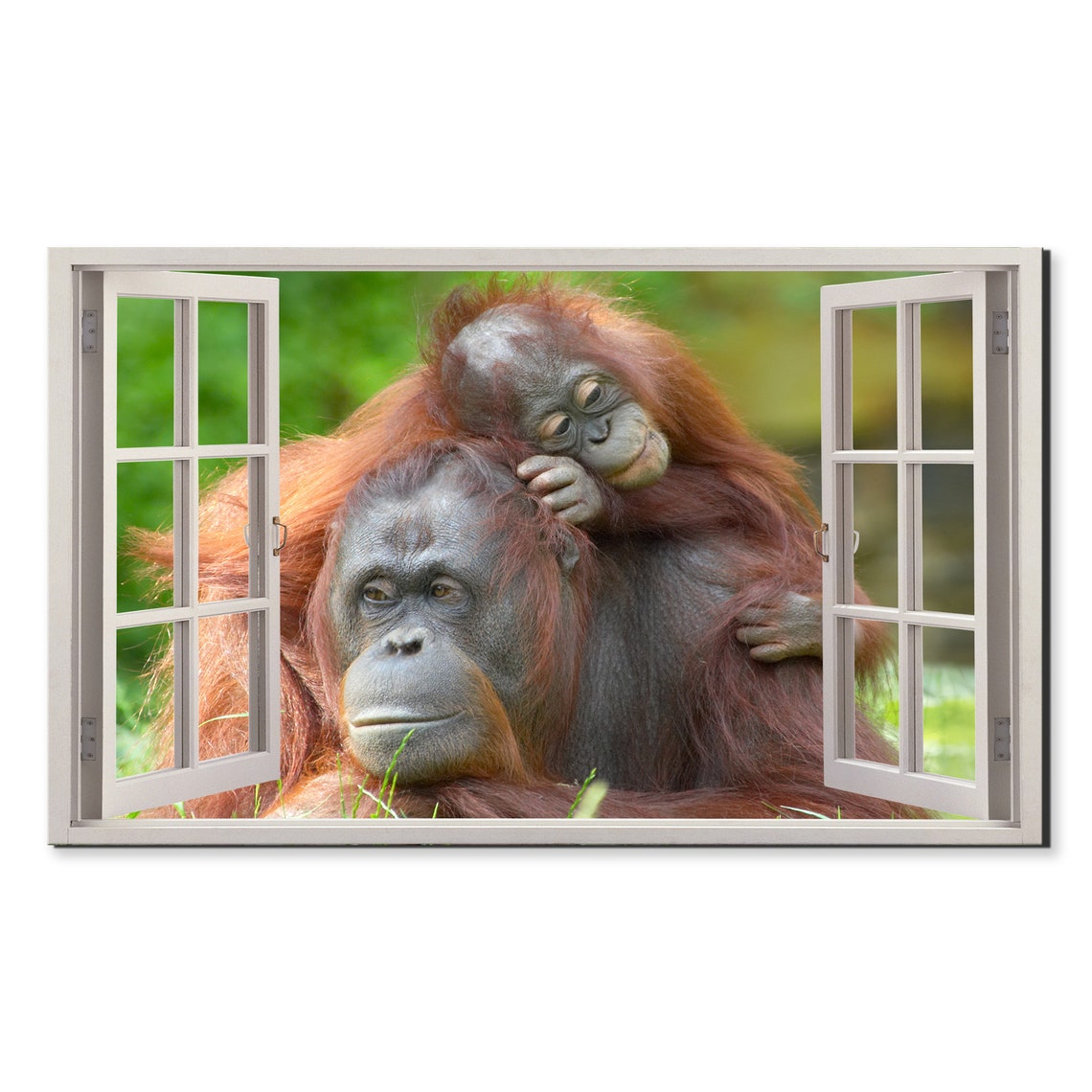 Mother Orangutan Baby Window Frame View Wildlife Photography Print