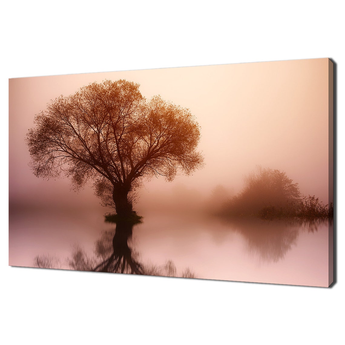 Lonely Tree Reflected In Foggy Lake At Warm Sunset Peaceful Wall Art