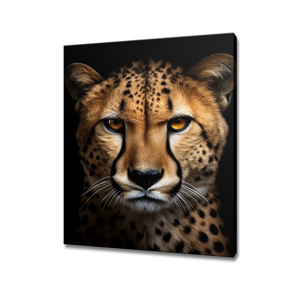 Cheetah Face Portrait On Black Background Golden Eyes Wild Cat Poster
