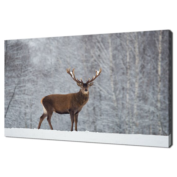 Red Deer Stag With Large Antlers Snowy Winter Birch Forest Wildlife Poster