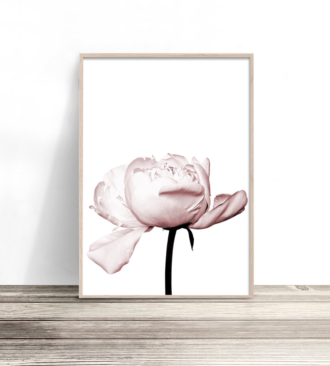 Blush Pink Peony Floral Artwork, Botanical Print