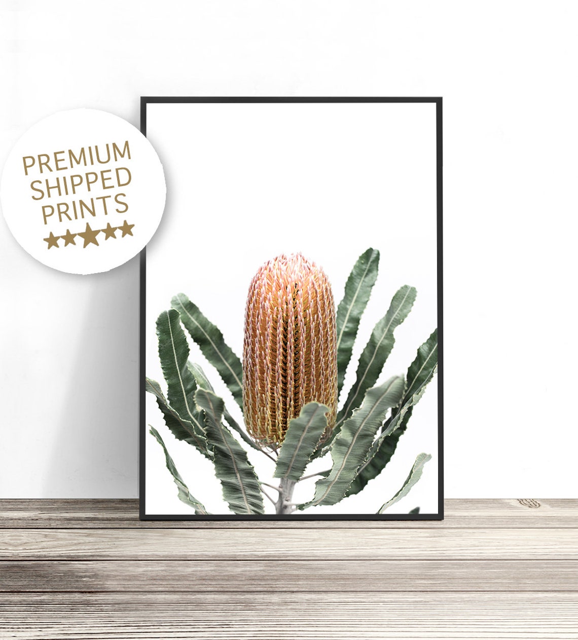 Banksia Flower Orange Rust Australian Native Botanical Wall Art Poster