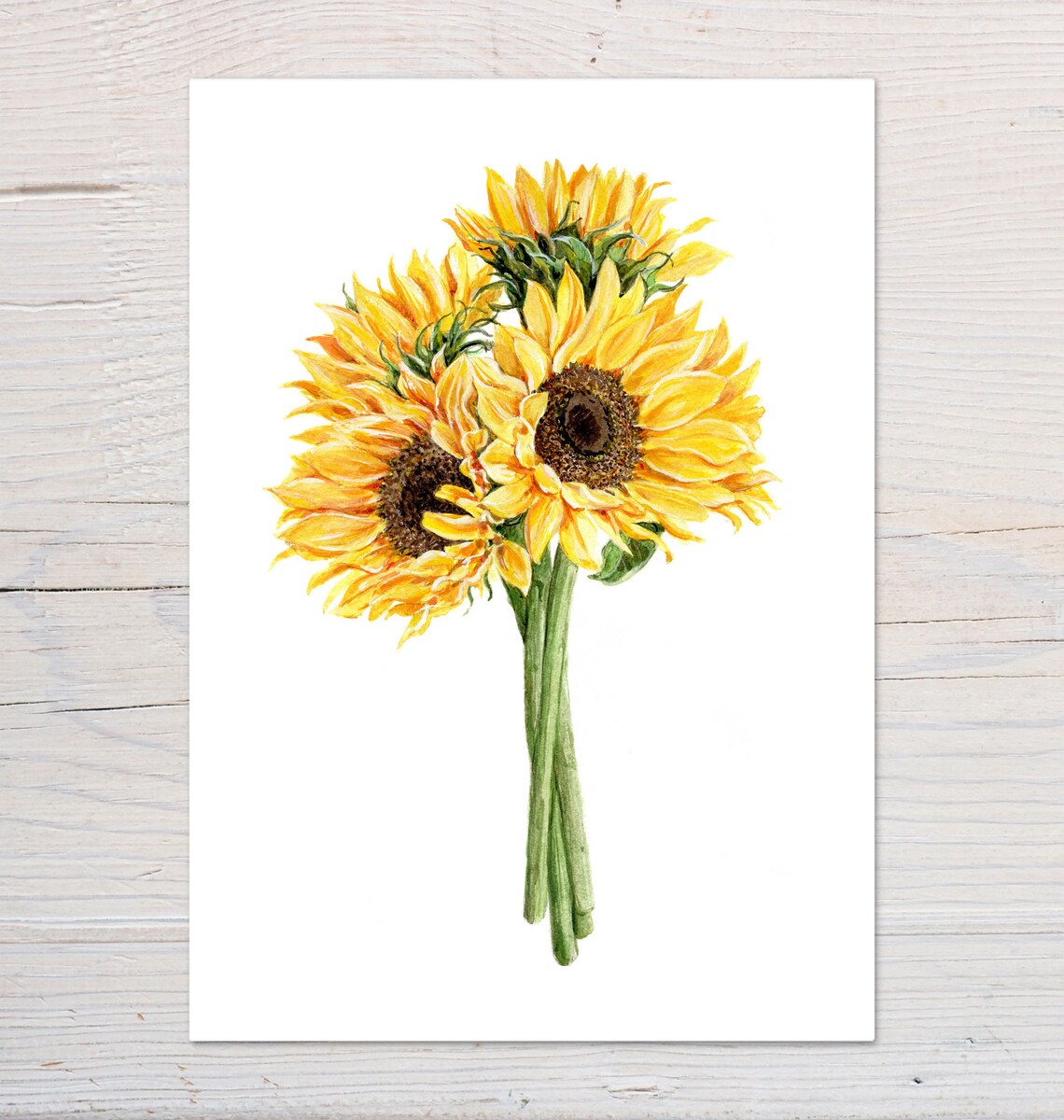 Golden Sunflower Trio Watercolour Bouquet Botanical Art Print