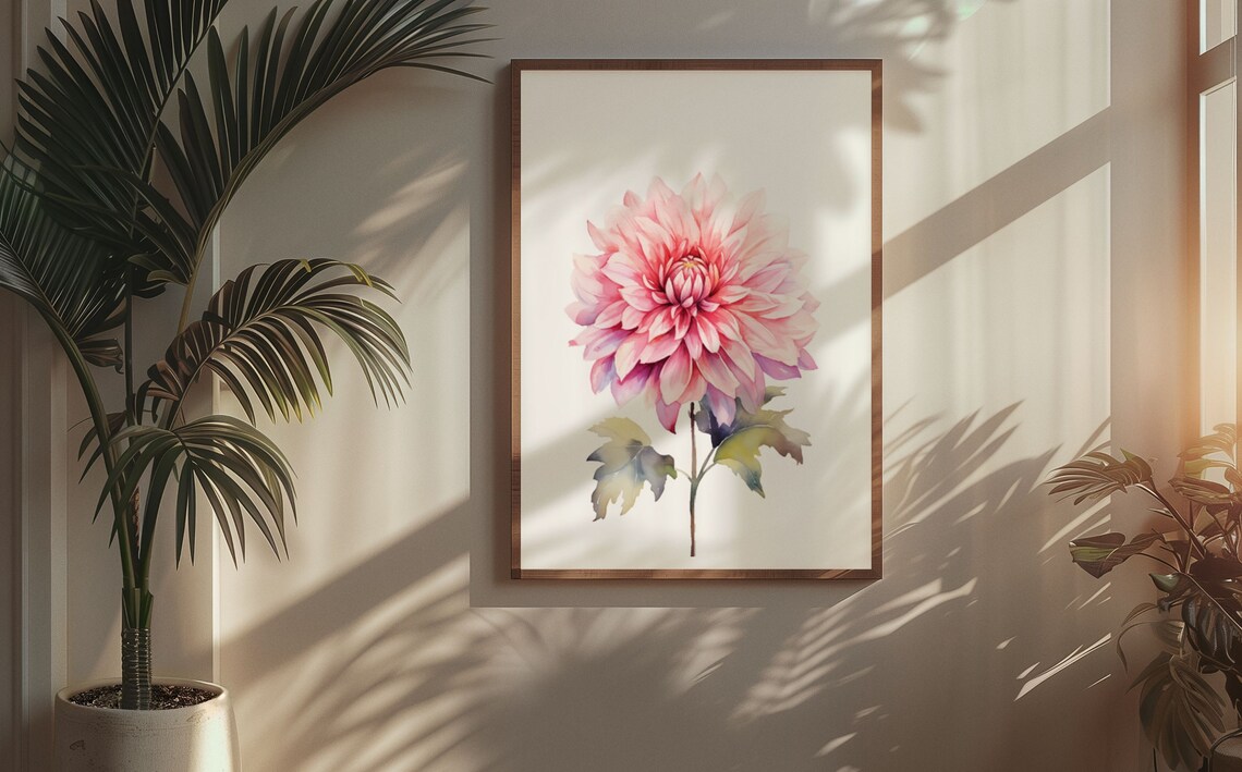 Soft Pink Dahlia Flower Delicate Watercolour Botanical Art Poster - Image 5