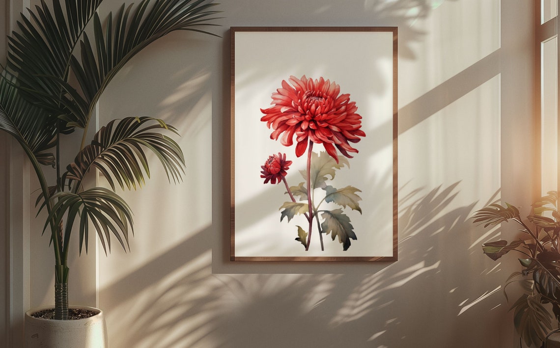 Red Chrysanthemum Single Bloom Watercolour Botanical Flower Poster - Image 5