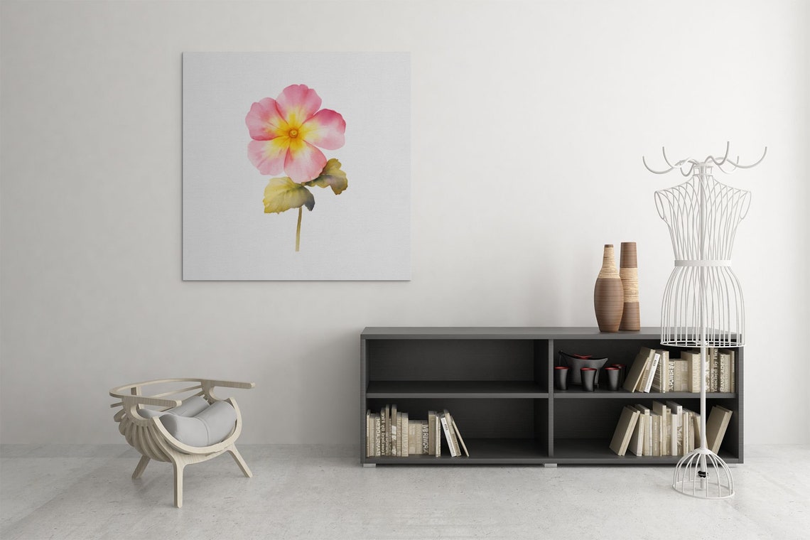 Pink Primrose Single Bloom Watercolour Botanical Flower Poster - Image 9