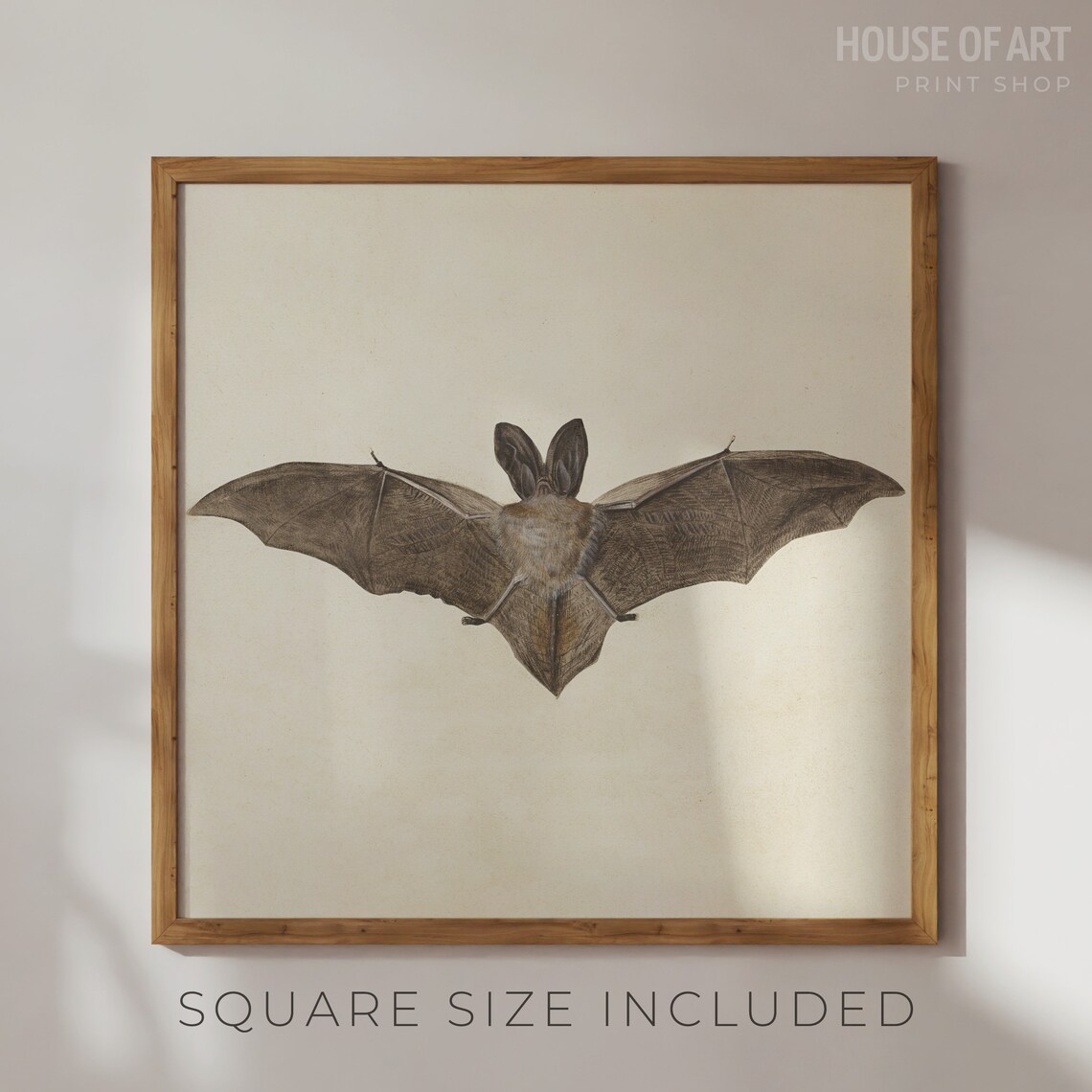 Big Eared Bat Wings Spread Vintage Natural History Ink Drawing Wall Art - Image 2