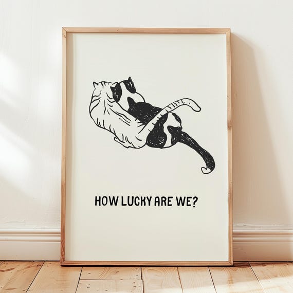 How Lucky Are We Print Uplifting Quote Poster Cute Cat Wall Art Couple Bedroom Trendy Daily Reminder Gift