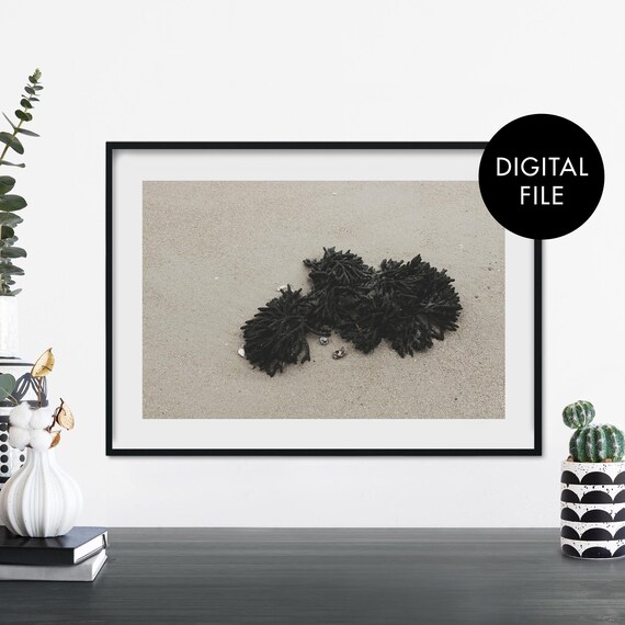 Dark Seaweed on Pale Sand Minimalist Coastal Photo Art Print