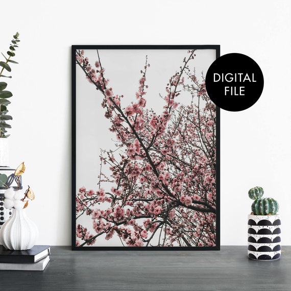 Cherry Blossoms Floral Photographic Print Wall Art At Home File