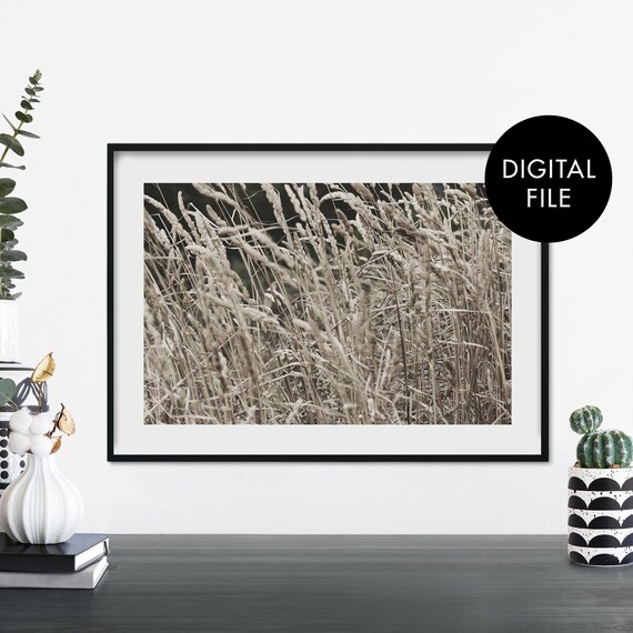 Wild Grass Meadow Sepia Tones Botanical Photo Digital Art Print